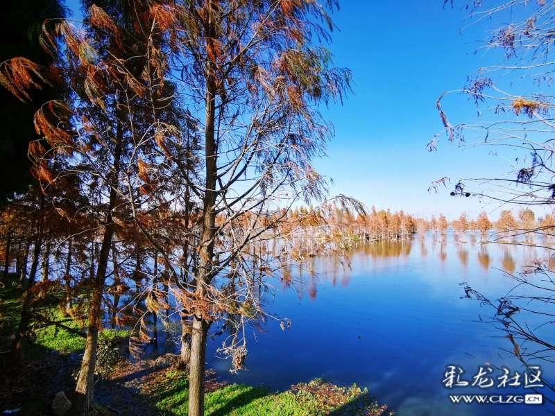 欧洲的旅行