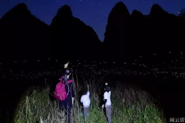 卡通小车找不同